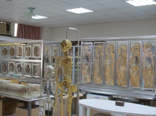 基礎醫學教學中心_解剖學生理學實驗教室2